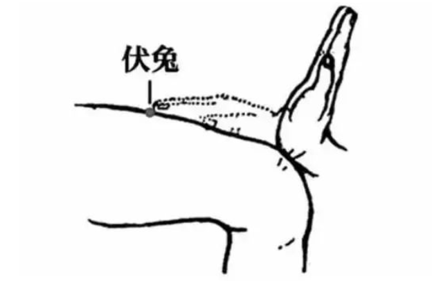  -jinnianhui | jinnian