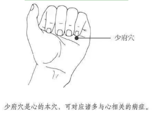  -jinnianhui | jinnian