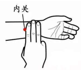  -jinnianhui | jinnian