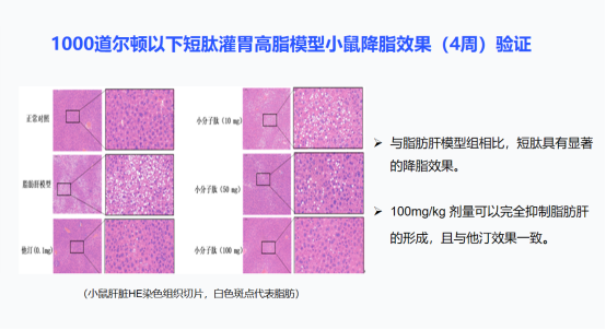  -jinnianhui | jinnian